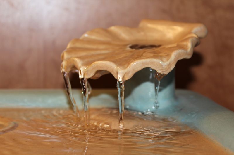 Square pet fountain with shell spout and internal battery