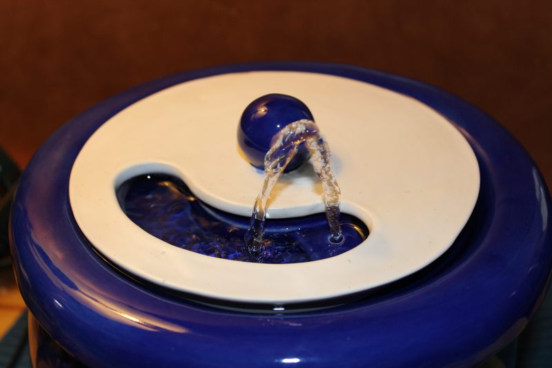 Small sized pet drinking fountainwith a partial lid cover