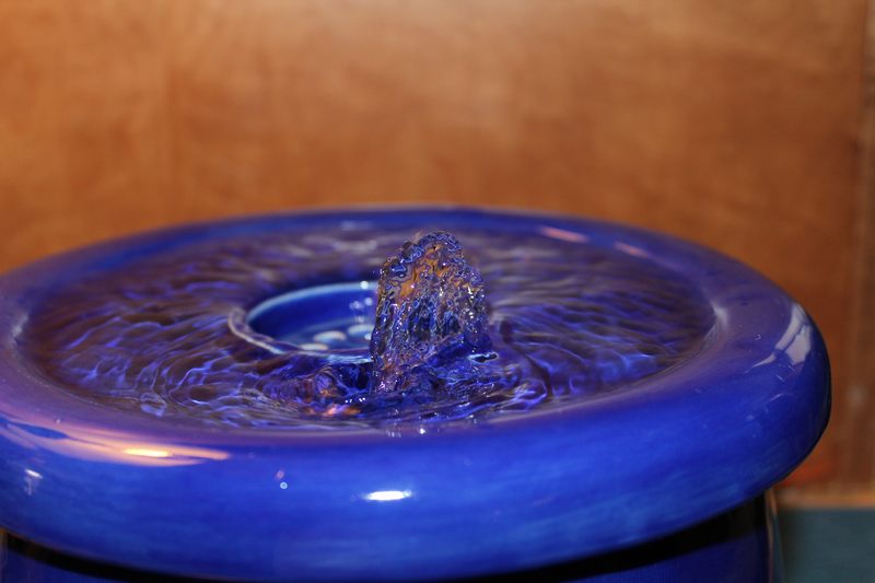 Small sized pet drinking fountainwith a partial lid cover