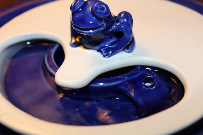 Small sized pet drinking fountainwith a partial lid cover