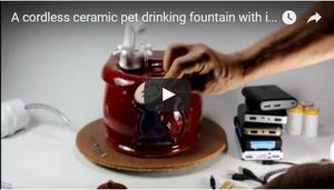 cordless pet fountain