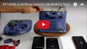 cordless pet fountain