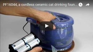 cordless pet fountain